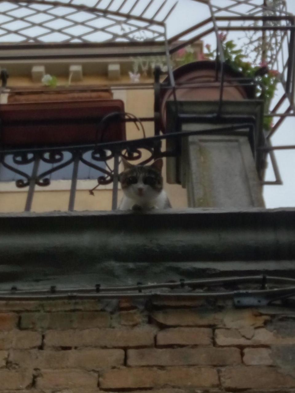Casa Moresca Venesia Bagian luar foto